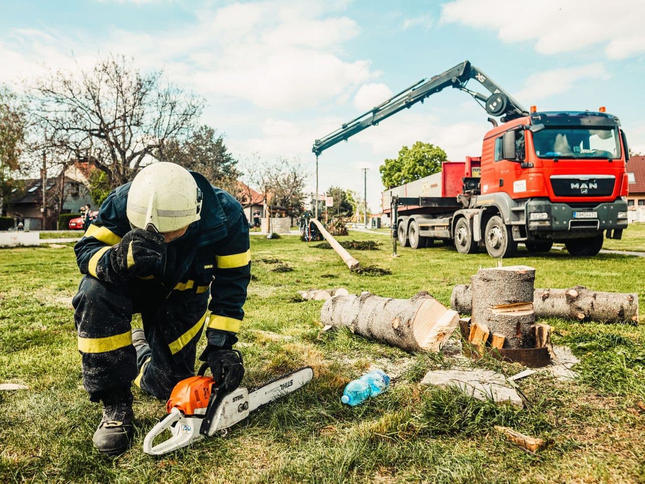 Élagage et abattage d'arbres